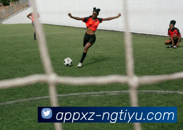 南宫体育APP 封面图